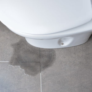 Leaking Taps & Toilet Repair Sydney | Milbur Plumbing